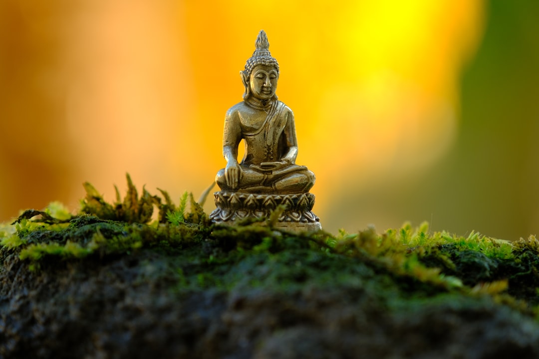 Personal development pathways